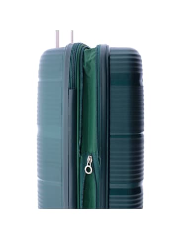 Gladiator 0800 4 Rollen Trolley 55 cm mit Dehnfalte green