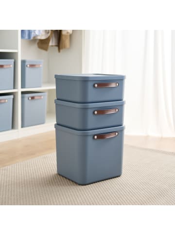 Rotho 2er-Set Kiste mit Deckel Maloja 20l in Misty blue