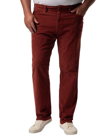 Men Plus Chino in sandelholz