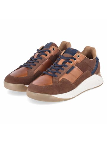 Bullboxer Low Sneaker in braun