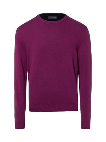 Finshley & Harding Pullover in himbeer - 0010