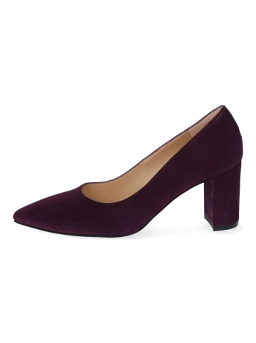 Pumps Violett