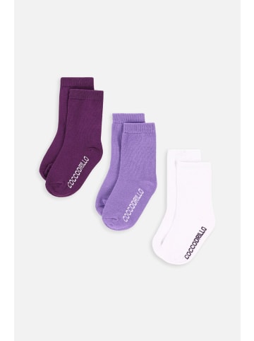 Coccodrillo Socken in bunt
