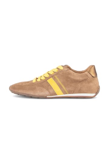Gabor Sneaker low in braun