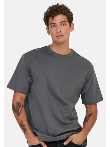 ONLY & SONS T-Shirt Onsfred in Grey pinstripe