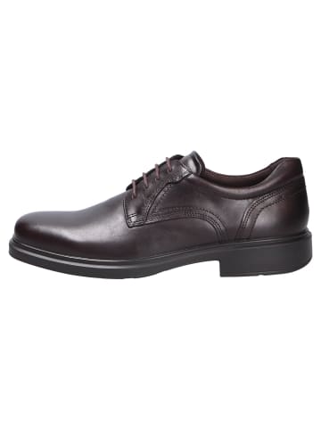Ecco Schnürschuh in braun