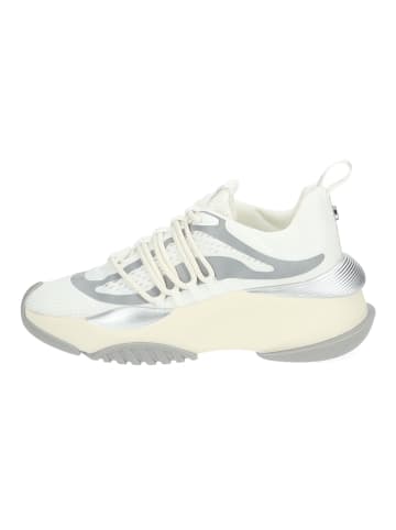 Steve Madden Sneaker in Weiß/Silber