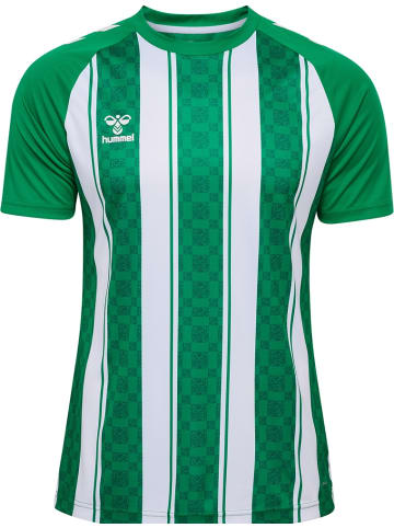 Hummel T-Shirt "Match Striped Jersey S/S" in Grün