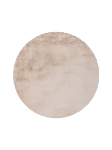 Teppich Boss Hochflor Teppich Robert 125 - Creme