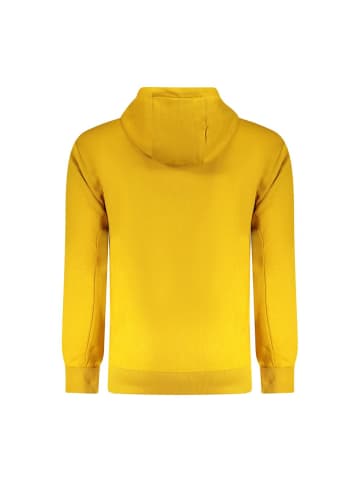 U.S. Polo Gelb Herren Sweatshirt aus Baumwolle