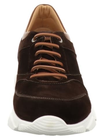 Aldo Brue Komfort Mokassin in braun