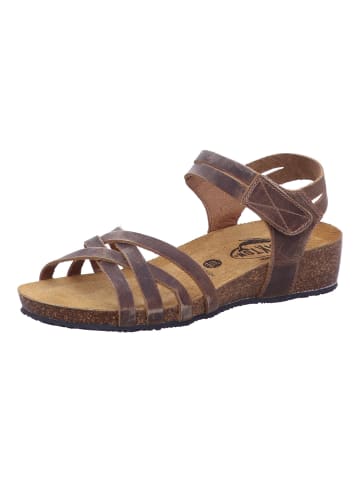 Plakton Sandalette in braun