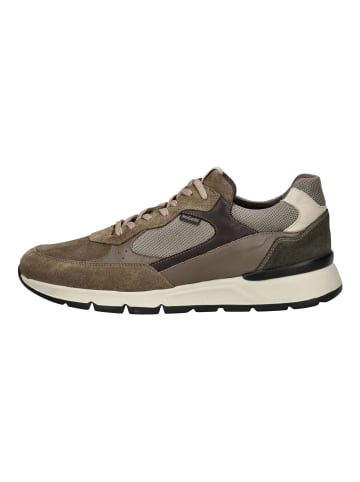 Nero Giardini Sneaker in Fango