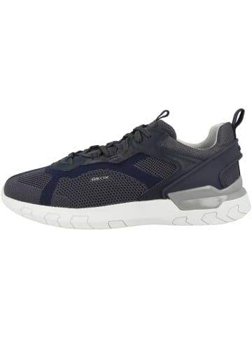 Geox Sneaker low U Grecale E in grau