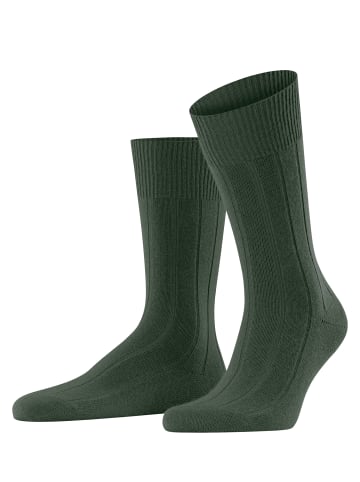 Falke Socken Lhasa Rib in Mistletoe