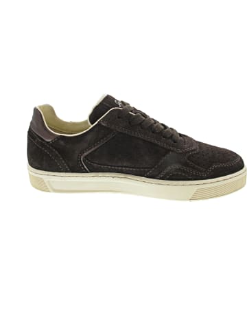 Sioux Maites Sneaker Sneaker low Braun