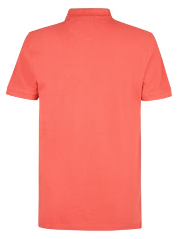 Petrol Industries Klassisches Poloshirt Dolphin in Rot