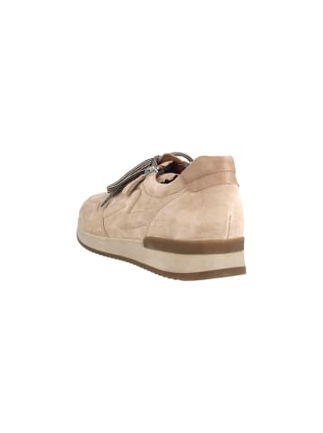 Gabor Sneaker in Beige