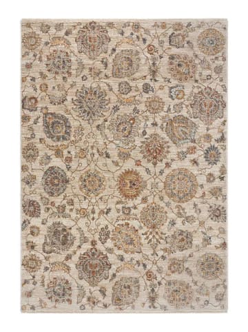 Atticgo Kurzflor-Teppich SAMARKAND in mehrfarbig