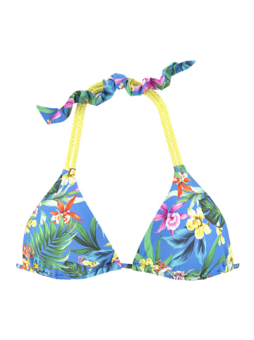 Venice Beach Triangel-Bikini-Top in blau-bedruckt