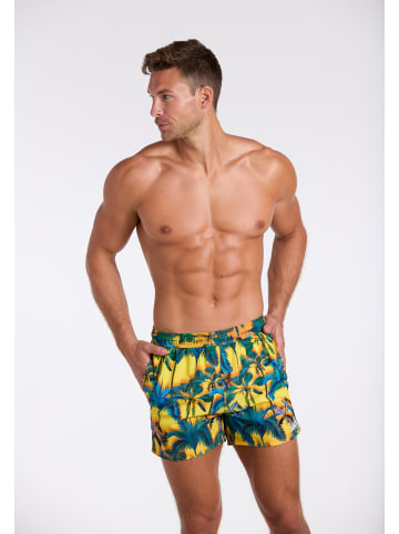 wavebreaker Shorts in bunt