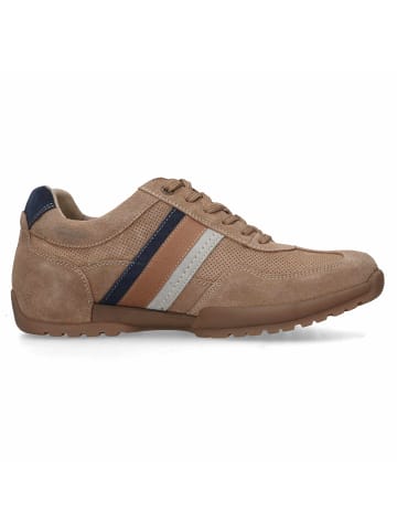 Camel Active Sneaker in braun