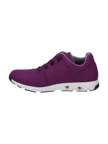 Josef Seibel Sneaker Noih in purple
