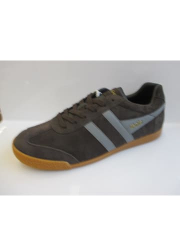 Gola Sneaker Harrier in Braun