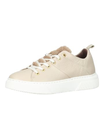 Scapa Sneaker in Beige