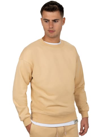 Reichstadt Pullover in Beige