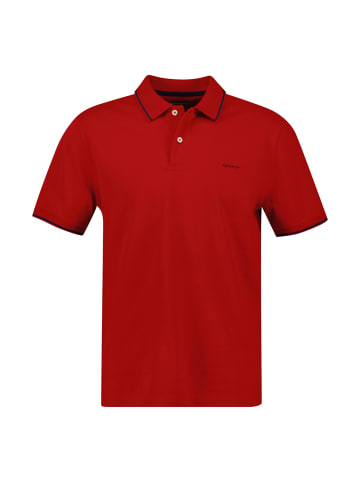 Gant Poloshirt 1er Pack in Rot (Ruby Red)