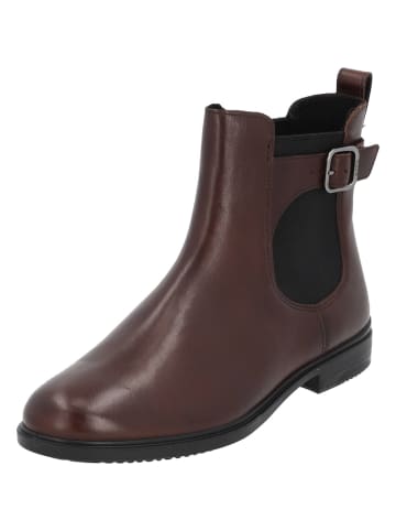 Ecco Stiefeletten in POTTING SOIL