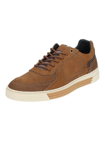 Bullboxer Sneaker in Cognac