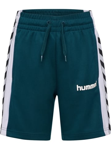 Hummel Short "Chevron Shorts" in Blau