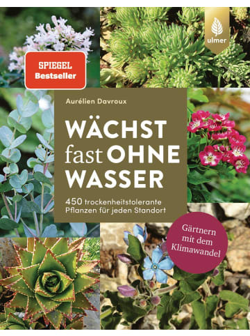 Ulmer Wächst fast ohne Wasser