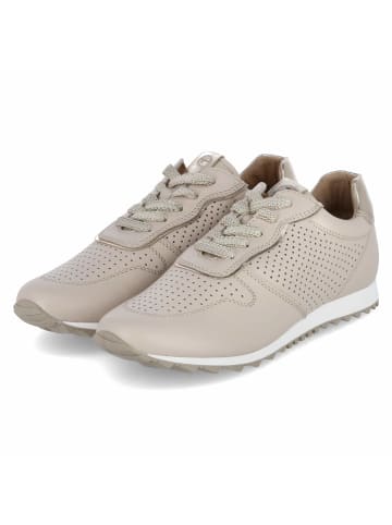 Tamaris Low Sneaker in Beige