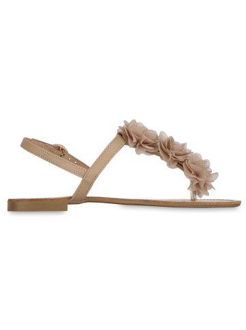 VAN HILL Zehentrenner Raina in Khaki