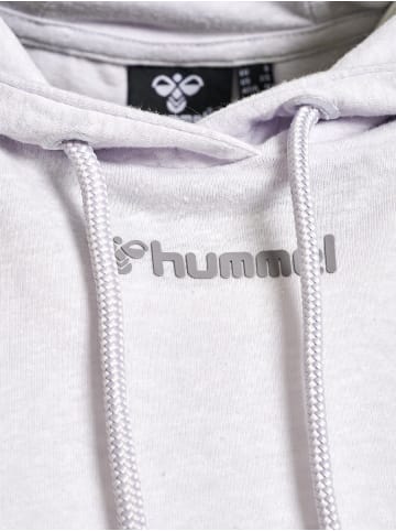 Hummel Hoodie Hmlzandra Hoodie in LIGHT GREY MELANGE