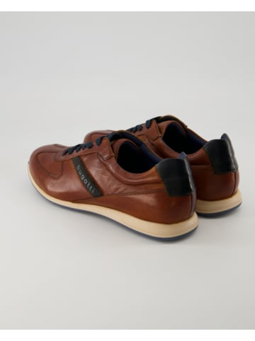 bugatti shoes Sneaker low in Braun