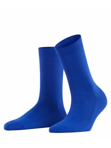 Falke Socken Family in Imperial blue