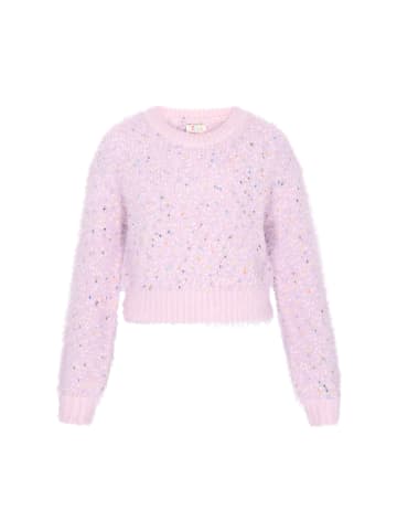 IZIA Women Sweater in lavender