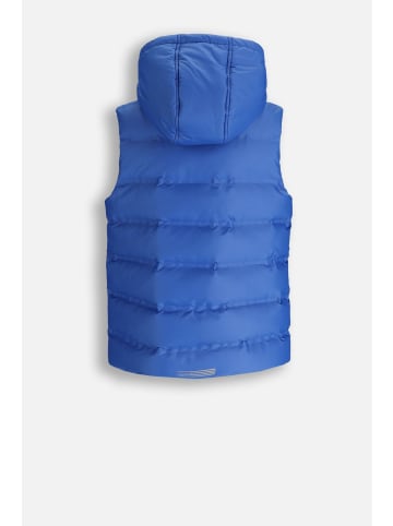 Coccodrillo Gesteppte weste in kobaltblau