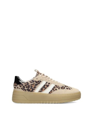 POELMAN Poelman ANEMONE Damen Sneaker