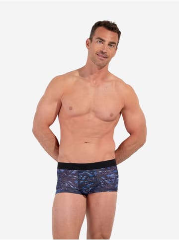 HOM Trunk Trunk Star Island in blue print