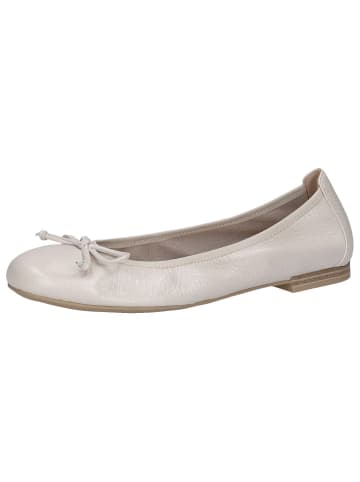 Caprice Ballerina in PEARL PERL DEE