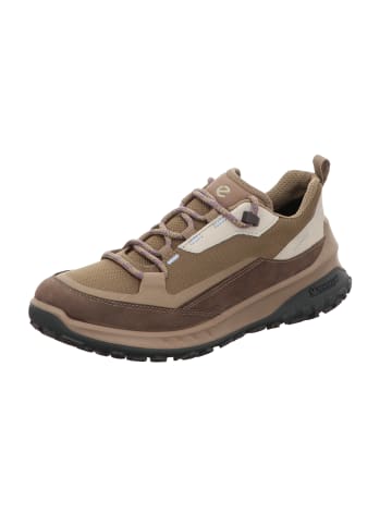 Ecco Schnürschuh in taupe
