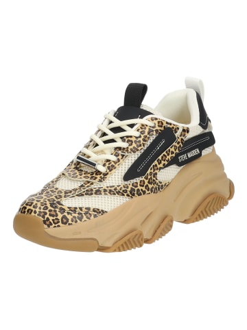 Steve Madden Sneaker in Leopard