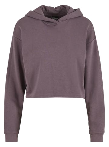 Urban Classics Urban Classics Damen Ladies Oversized Cropped Light Terry Hoodie in fadedpurple