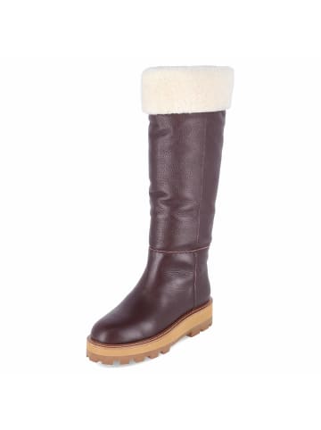 Australia Luxe Collective Stiefel in purple