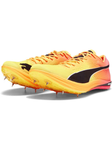 Puma Laufschuh "evoSPEED Long Distance Nitro Elite+" in Orange